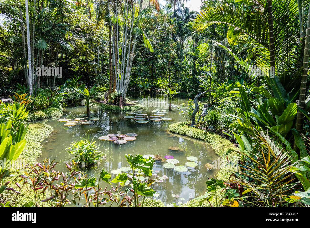 Stagno in Singapore Botanic Gardens, Repubblica di Singapore Foto Stock