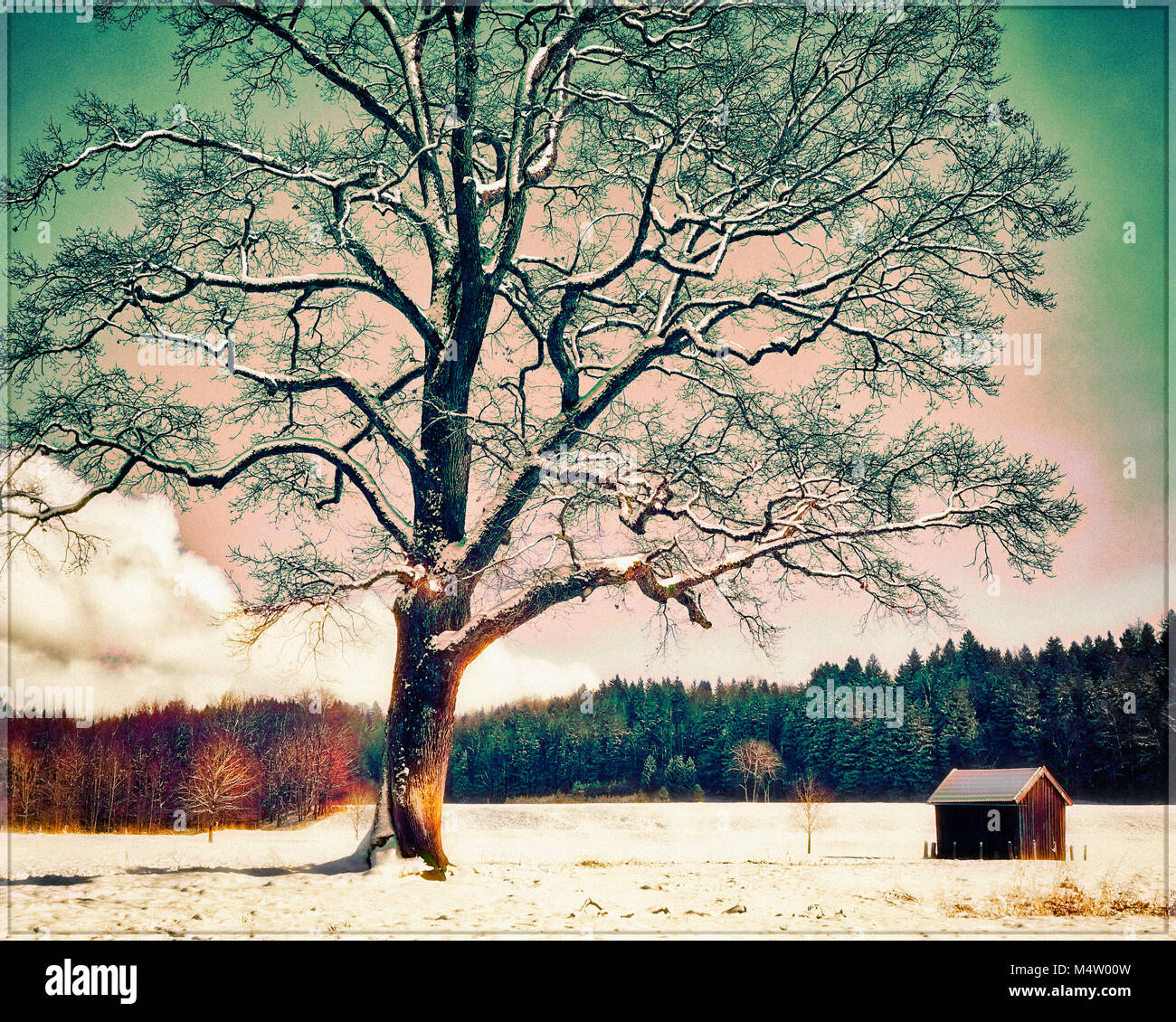 Arte fotografica: luce prima della stagione invernale Foto Stock