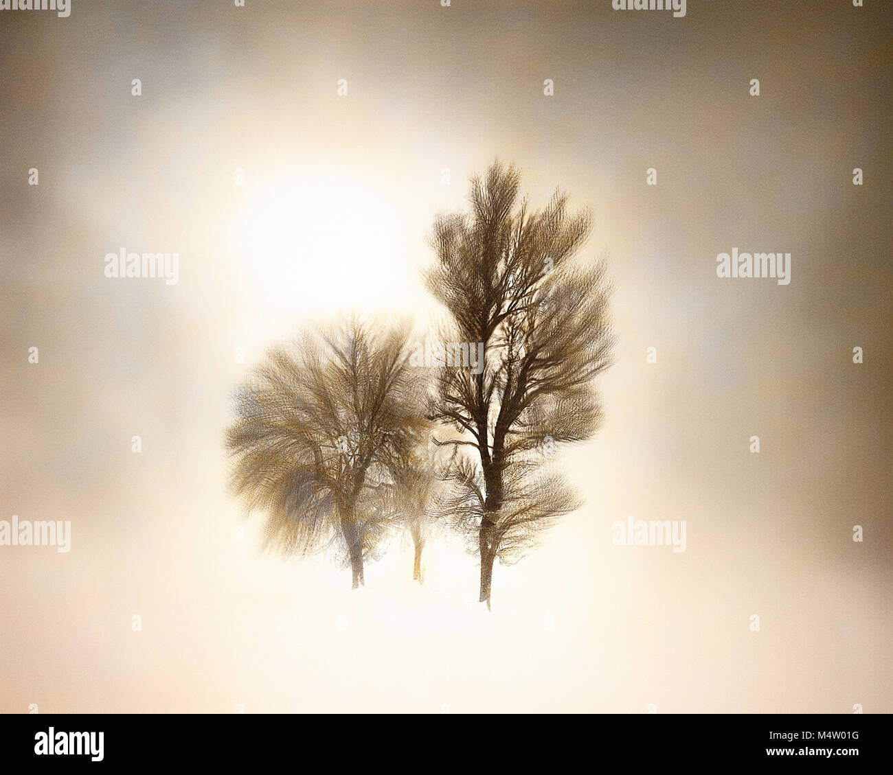 Arte digitale: Congelati nel tempo Foto Stock