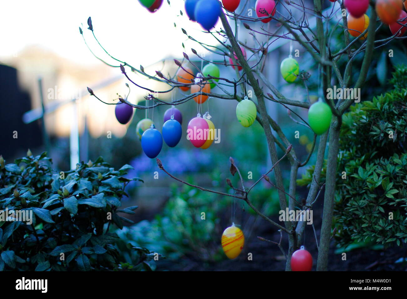 In plastica colorate uova di pasqua si blocca su branshes Foto Stock