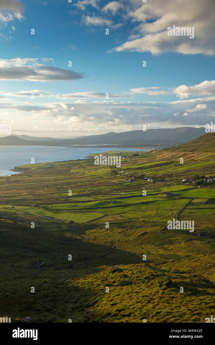 I campi di colore verde accanto a Ballinskelligs Bay, nella contea di Kerry, Irlanda. Foto Stock
