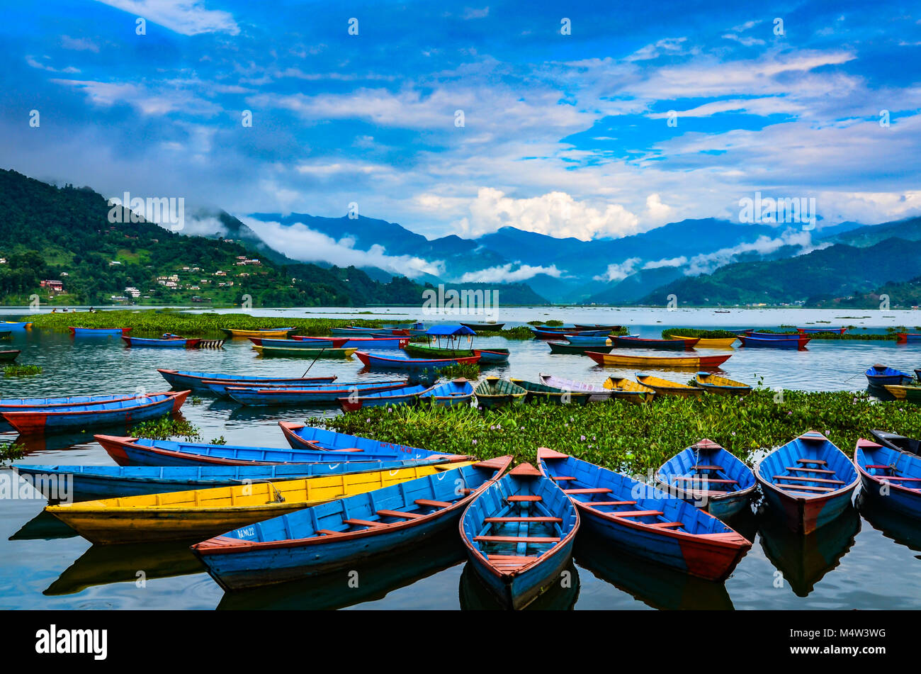 File colorate barche ormeggiate sul lago Phewa in Pokhara, Nepal. Foto Stock