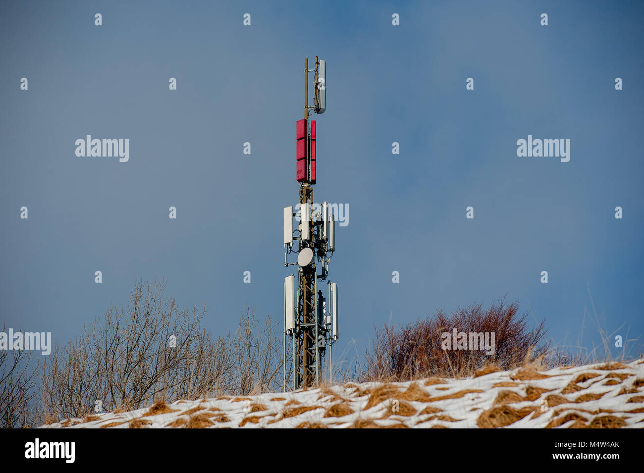 Pole per il supporto di ripetitori telefonici Foto Stock