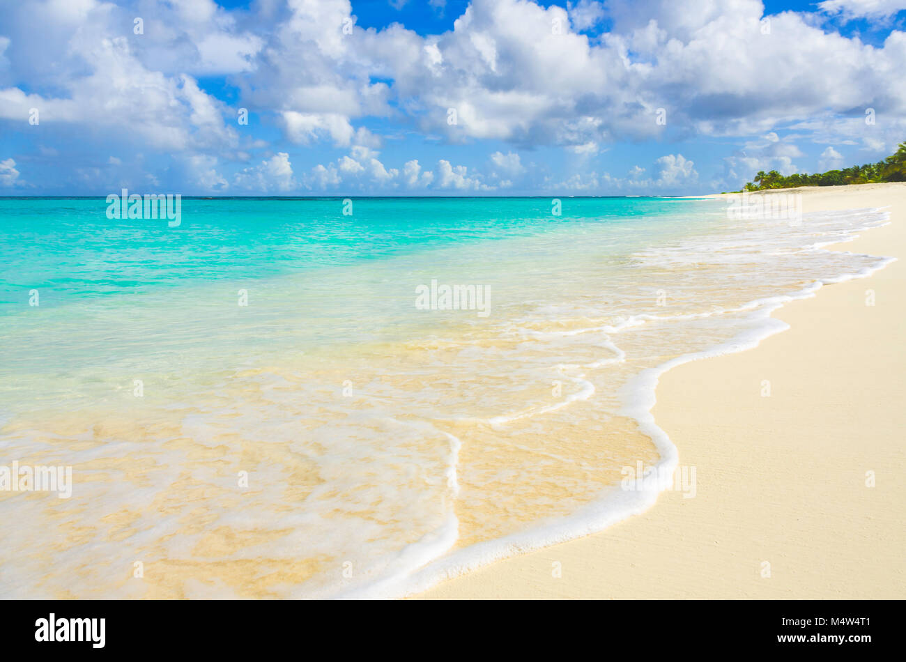 La Shoal Bay, un vuoto che la spiaggia di sabbia bianca sulla splendida isola caraibica di Anguilla. Foto Stock