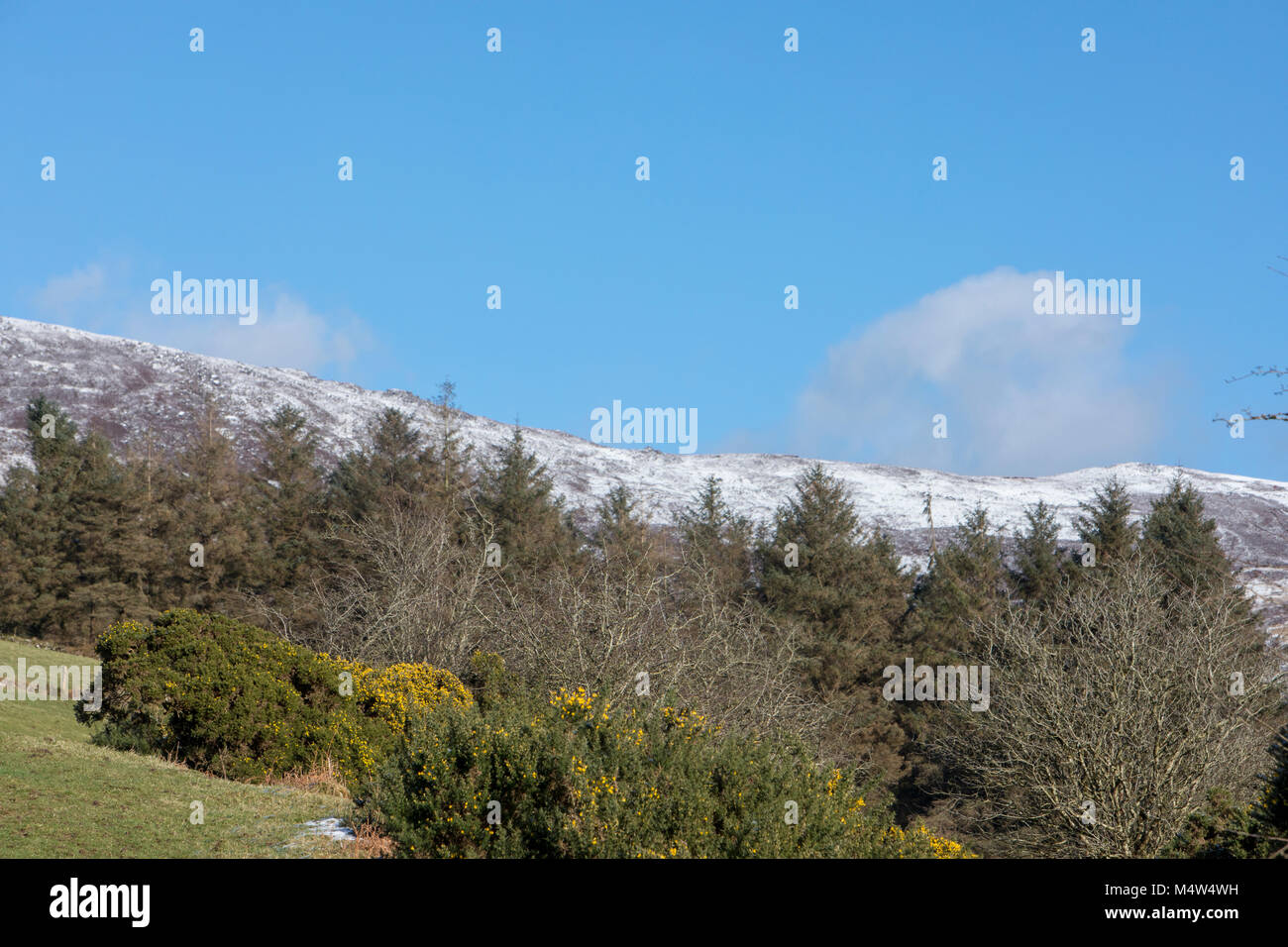 Neve in Irlanda's Comeragh montagne, nella contea di Waterford Febbraio 2018 Foto Stock