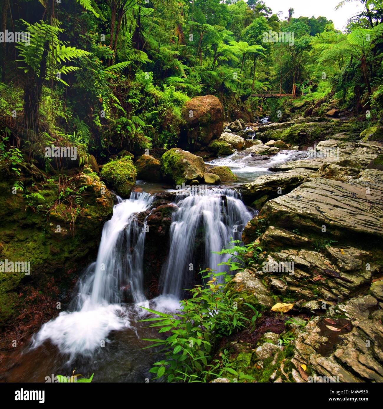 Una piccola cascata, Curug Pangeran, Monte Salak, Bogor, Indonesia Foto Stock