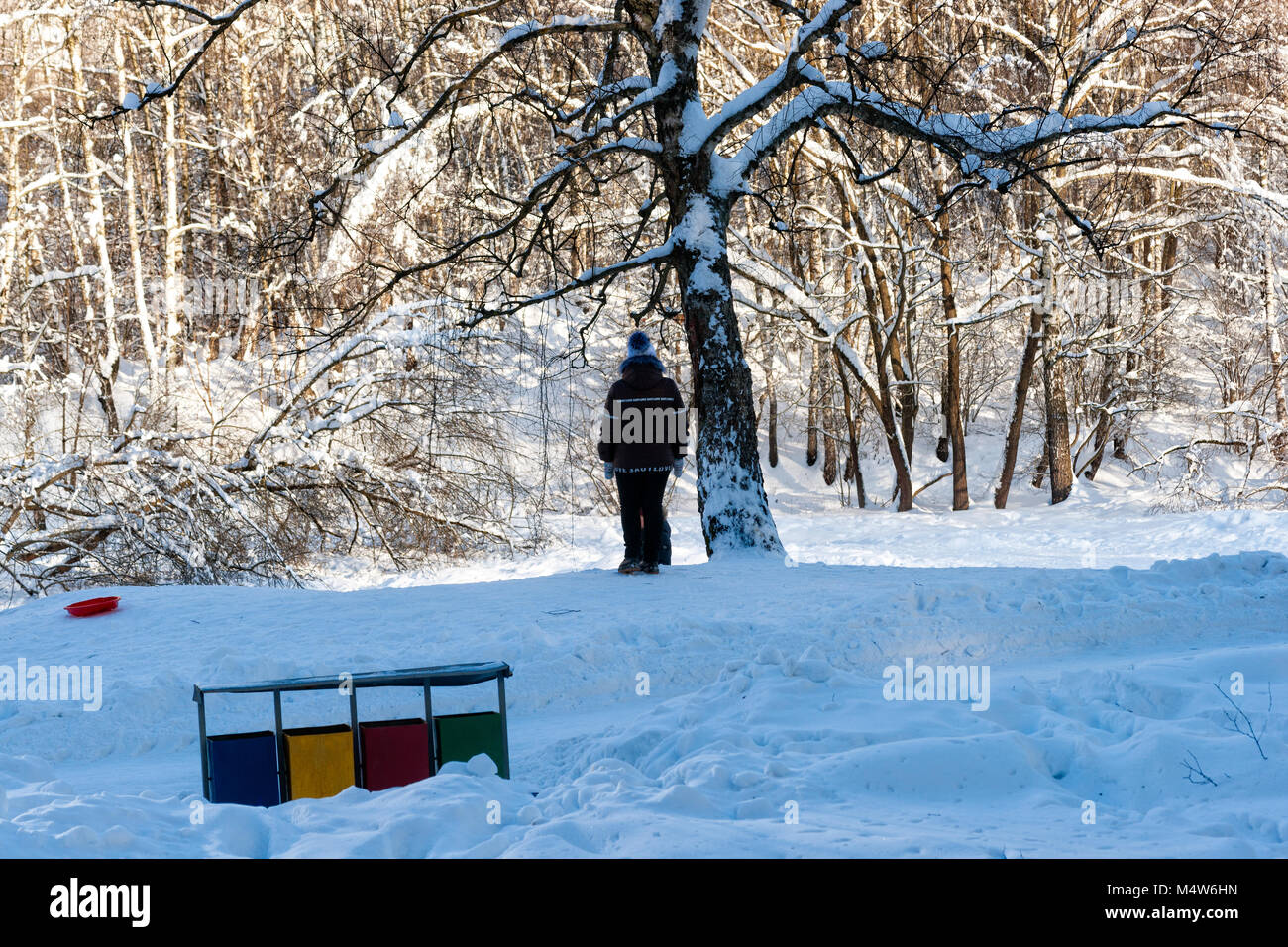 Mosca, 12 Febbraio 2018: Non identificato, irriconoscibile donna sorge dalla quercia a una coperta di neve parco su una soleggiata giornata invernale. Foto Stock