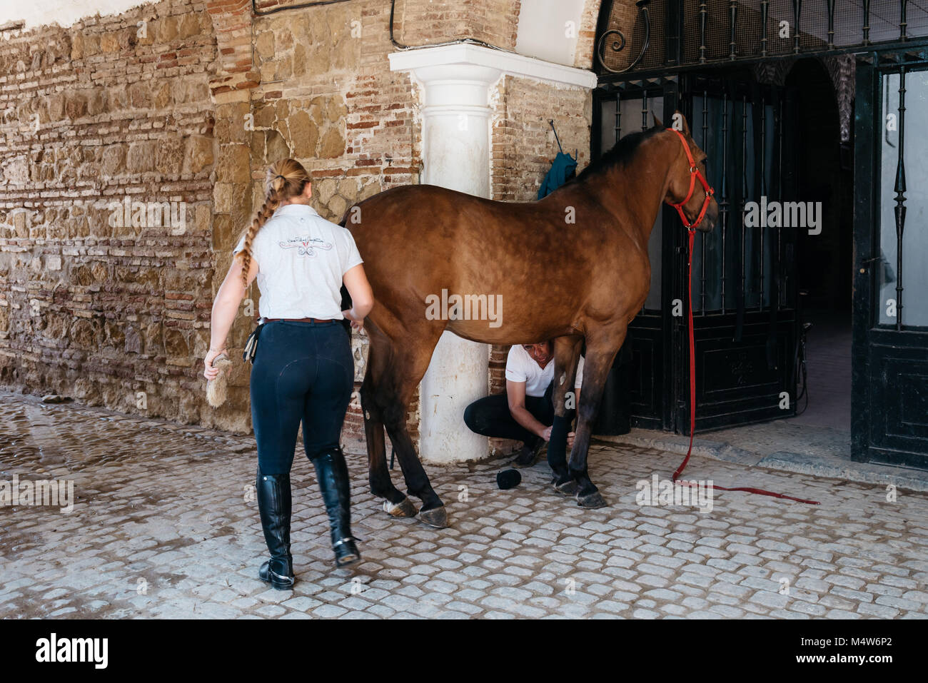 Cordoba, Spagna - 12 Aprile 2017: cavallo andaluso noto anche come pura Cavallo Spagnolo con stallieri nella storica Royal maneggio di Cordoba. Foto Stock