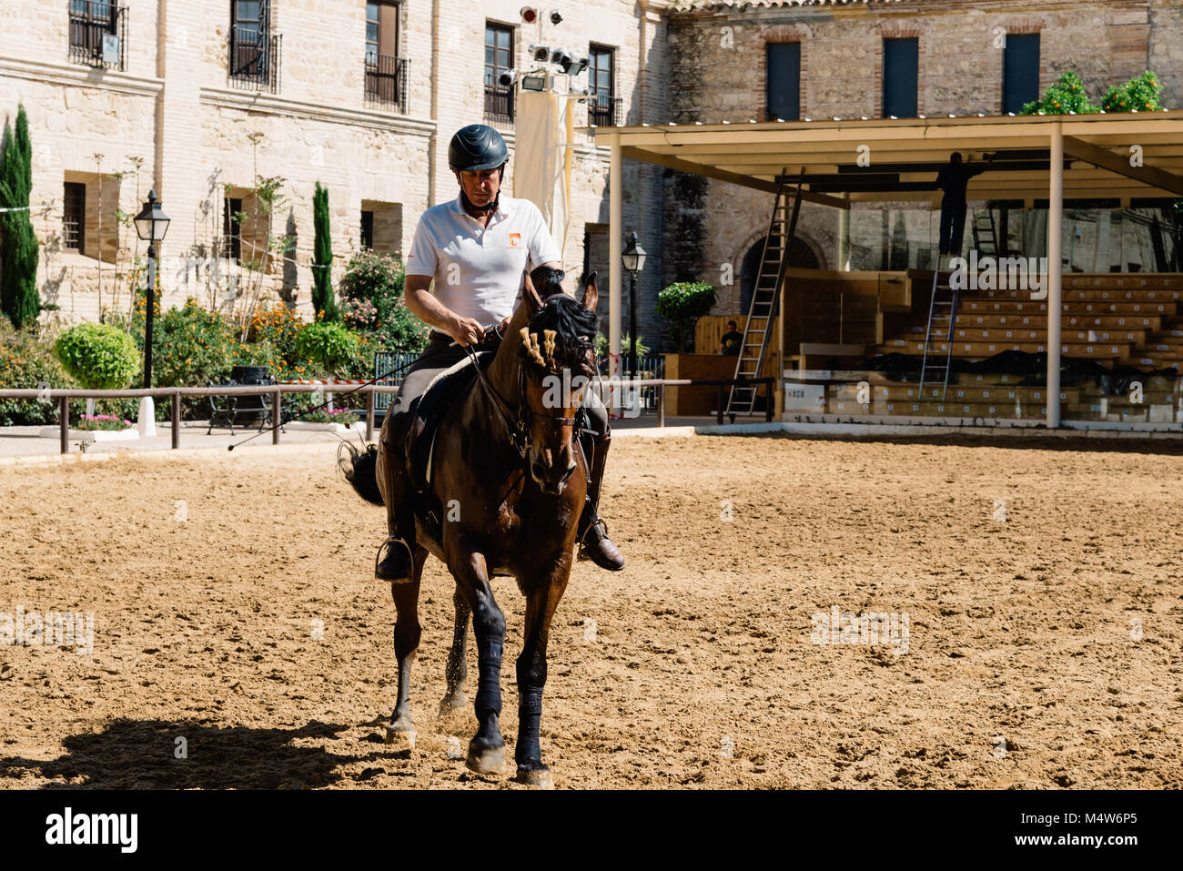 Cordoba, Spagna - 12 Aprile 2017: Cavallo cavaliere a cavallo di un marrone cavallo andaluso noto anche come puro Cavallo Spagnolo nella storica Royal maneggio di Cordoba. Foto Stock