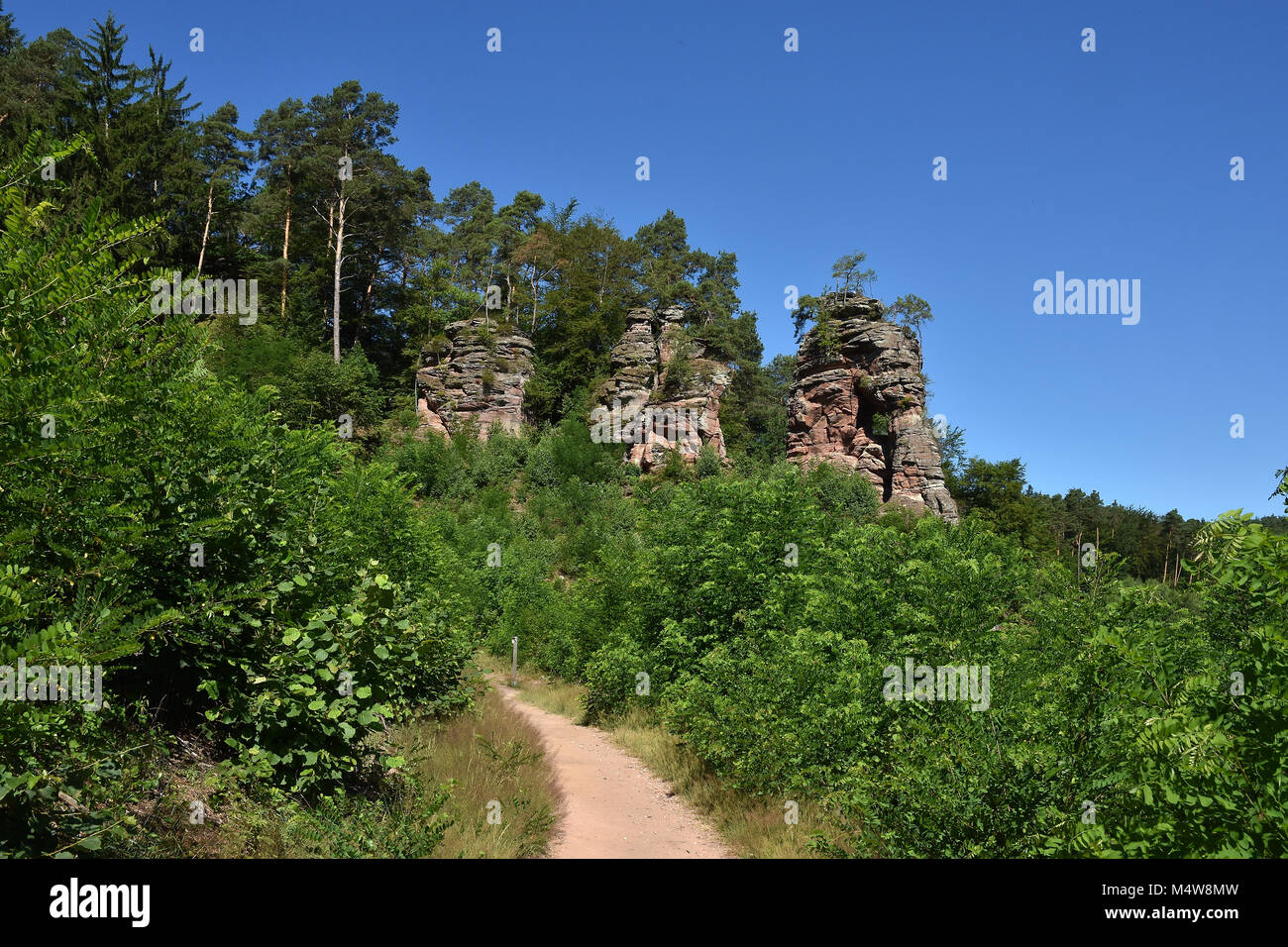 Foresta palatina in Renania Palatinato/Germania; la nuova pietra arenaria rossa Foto Stock