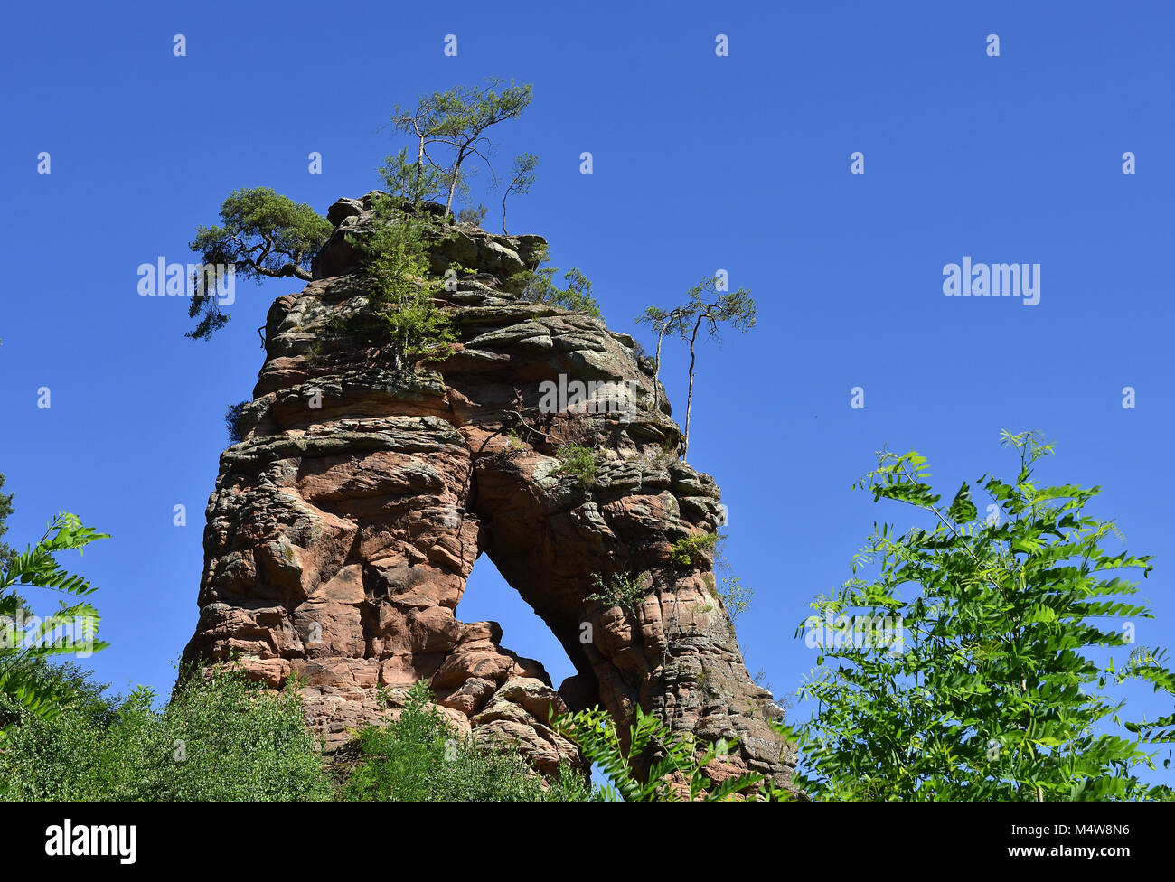 Foresta palatina in Renania Palatinato/Germania; la nuova pietra arenaria rossa Foto Stock