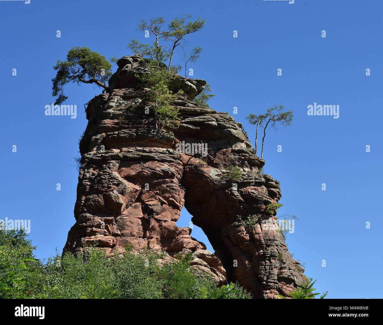 Foresta palatina in Renania Palatinato/Germania; la nuova pietra arenaria rossa Foto Stock