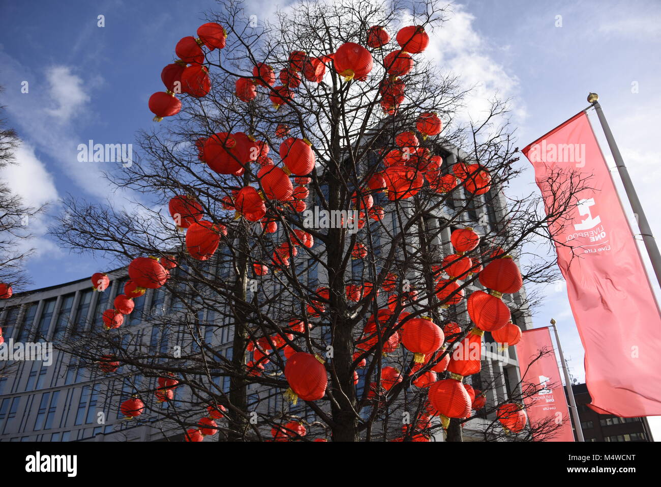 Rosso lanterne cinesi sospeso in un albero in Liverpool, UK per il Capodanno cinese Foto Stock