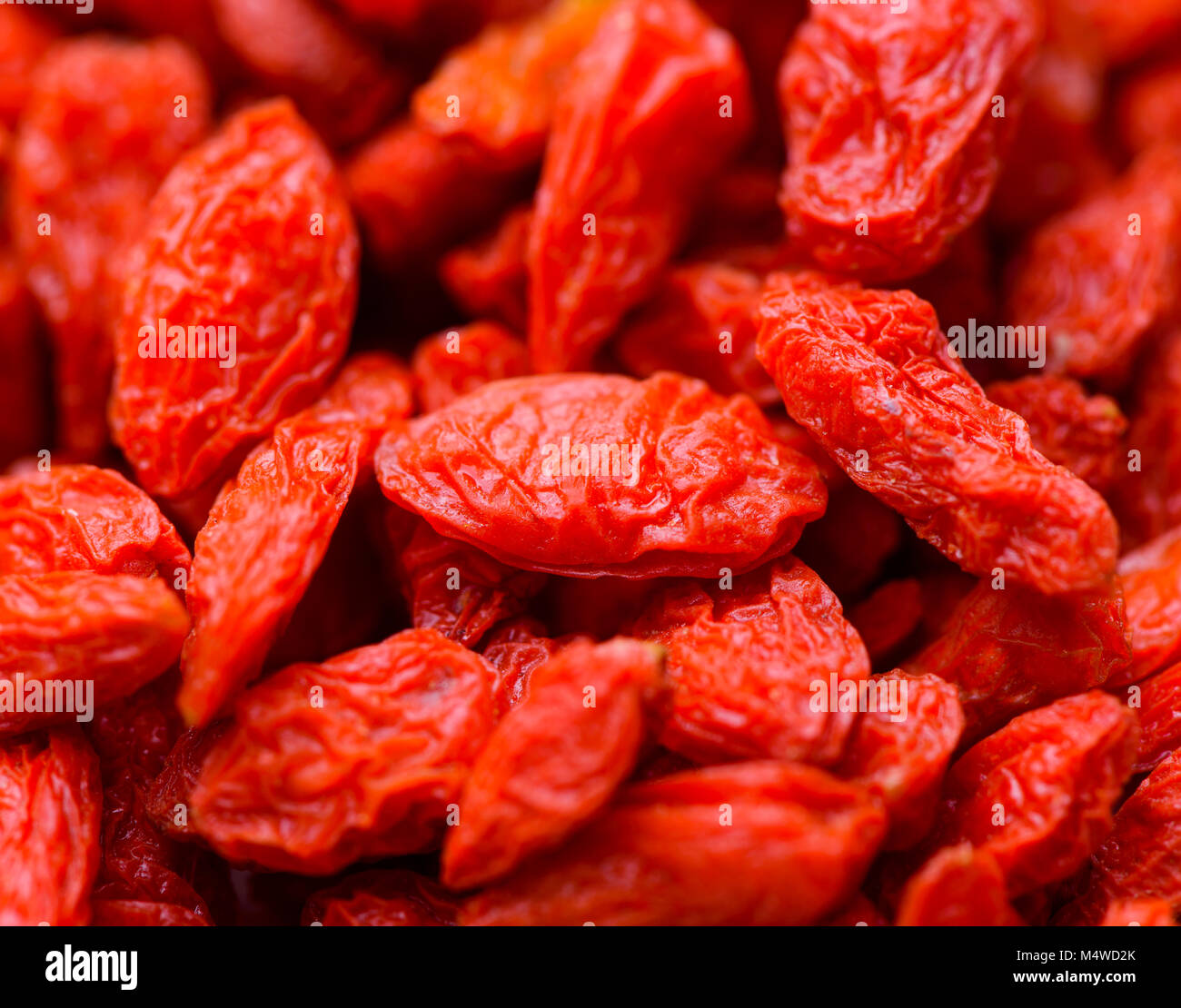 Sfondo di essiccati goji bacche Foto Stock