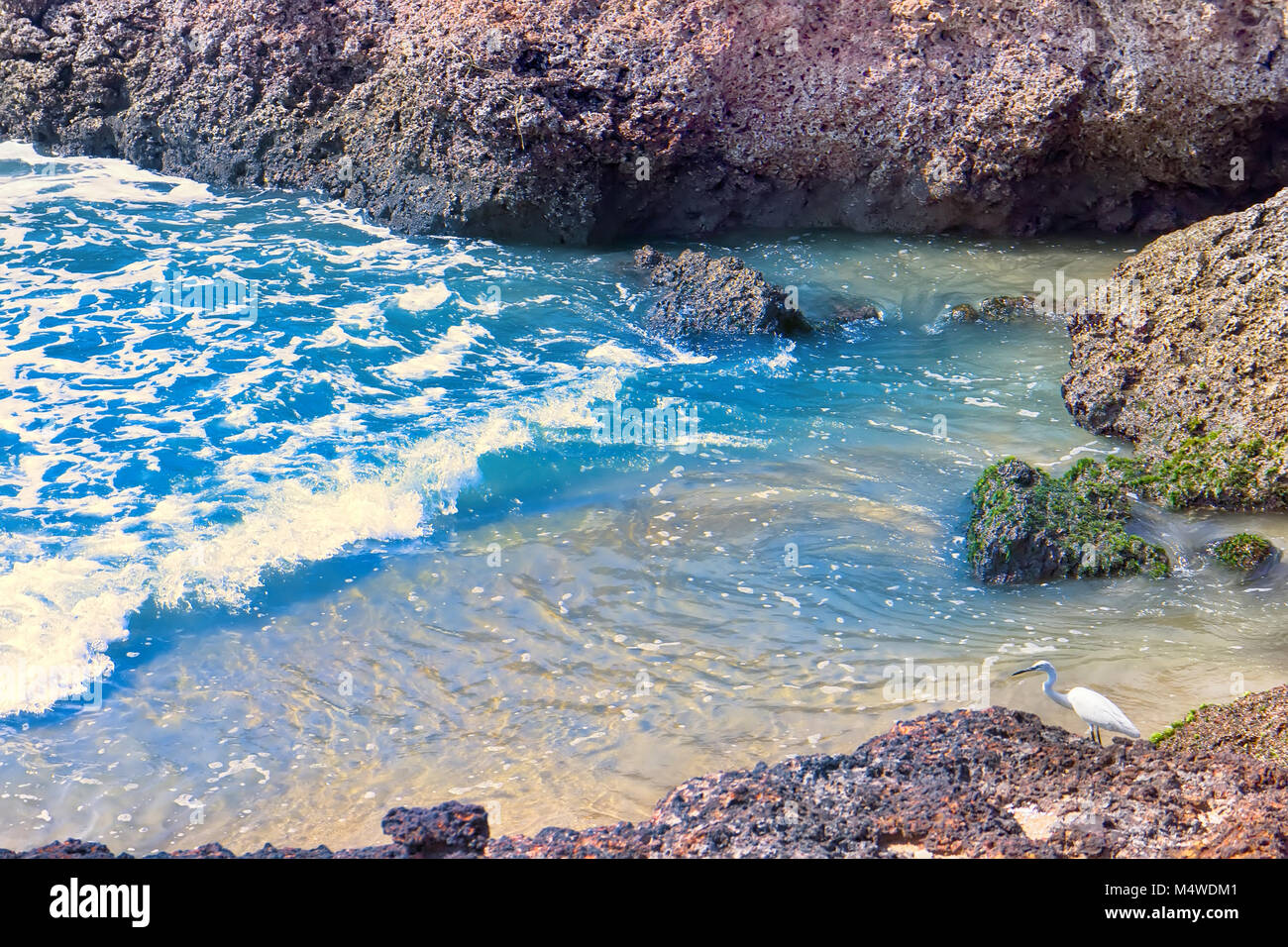 Mare arabico in Kerala. Pittoresche scogliere, spiagge promette una vacanza indimenticabile. Il mare ha dato argillite rocce. Piccolo airone bianco. Costa di Malabar Foto Stock