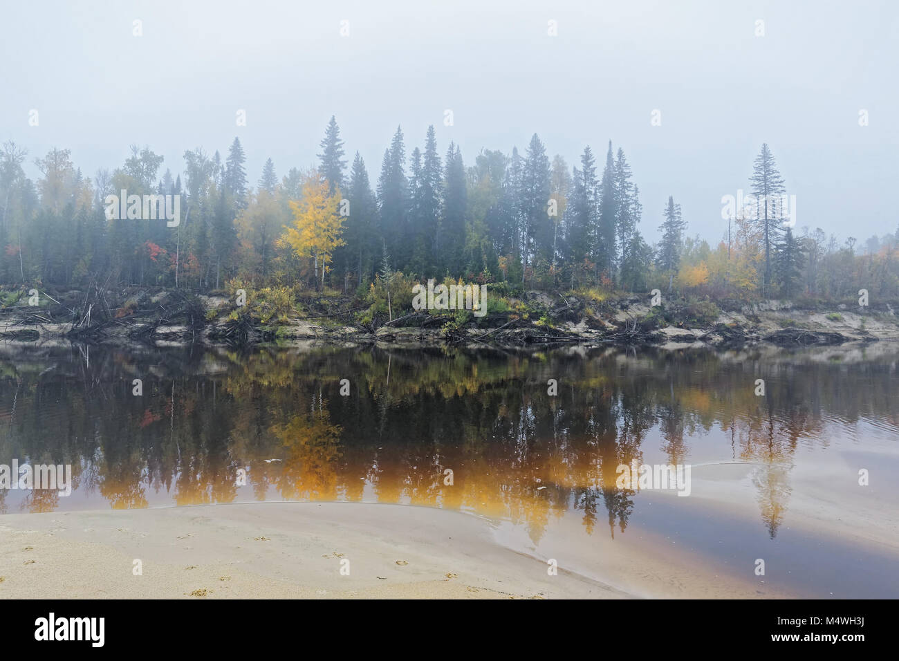 La Siberia,Yugra, una nebbiosa mattina sulla banca del fiume di taiga Bolshoy Yugan. Nel tardo autunno, cold snap Foto Stock