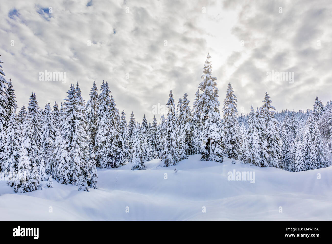 Snow Landscape, Giura, Francia Foto Stock