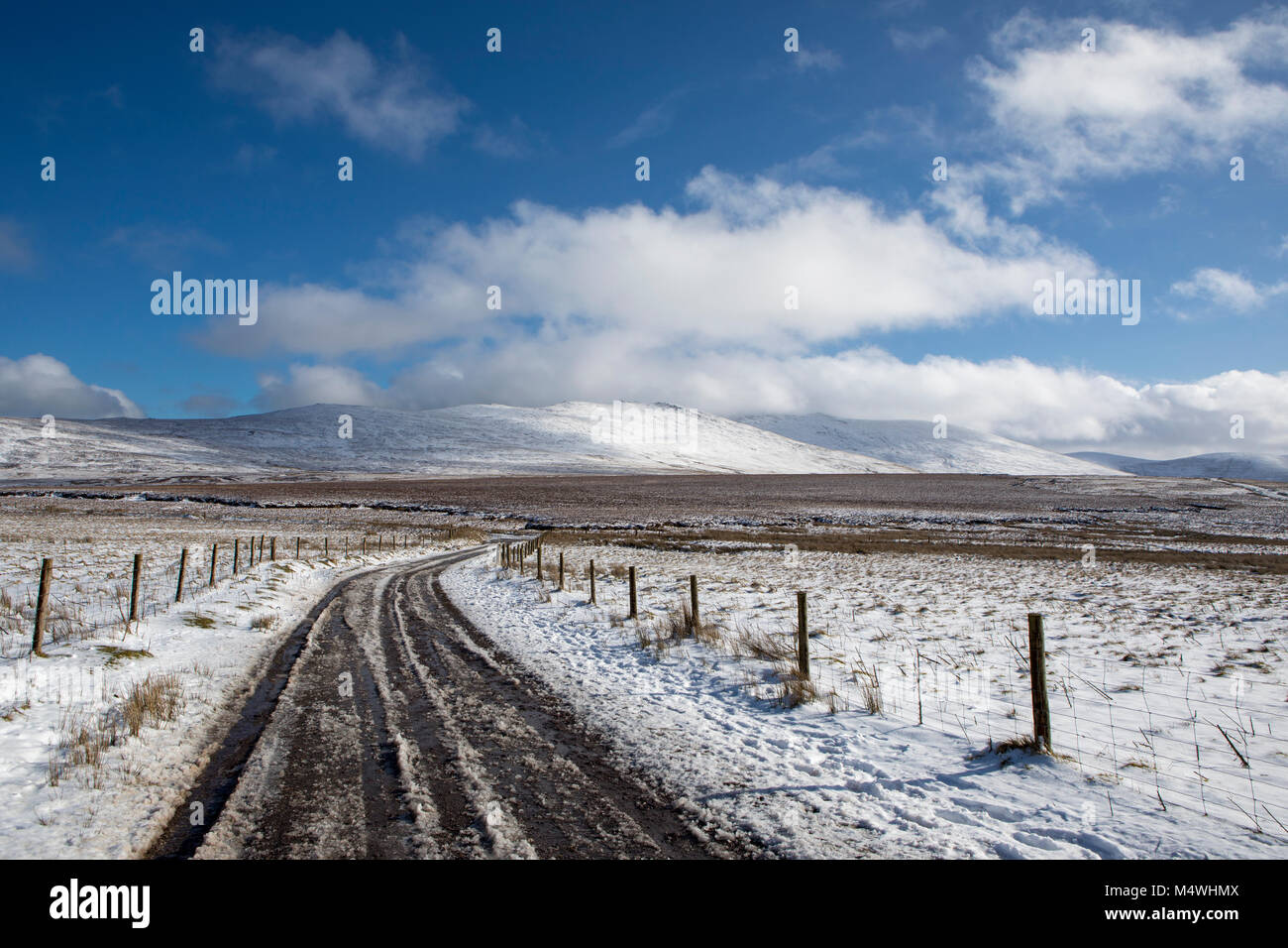Inverno in Irlanda's Comeragh Montagne, neve nella Contea di Waterford Foto Stock