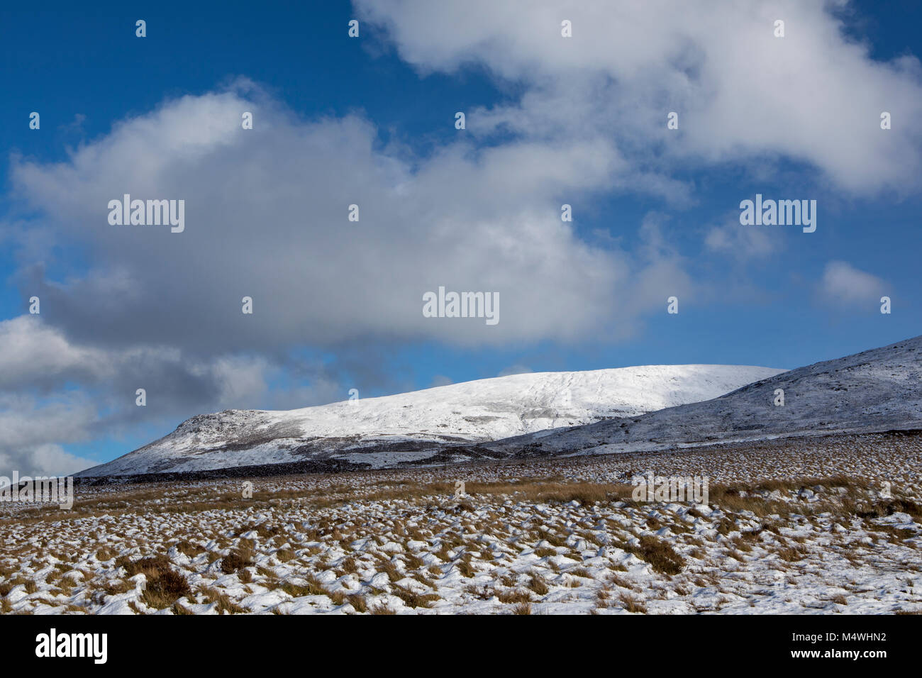 Inverno in Irlanda's Comeragh Montagne, neve nella Contea di Waterford Foto Stock