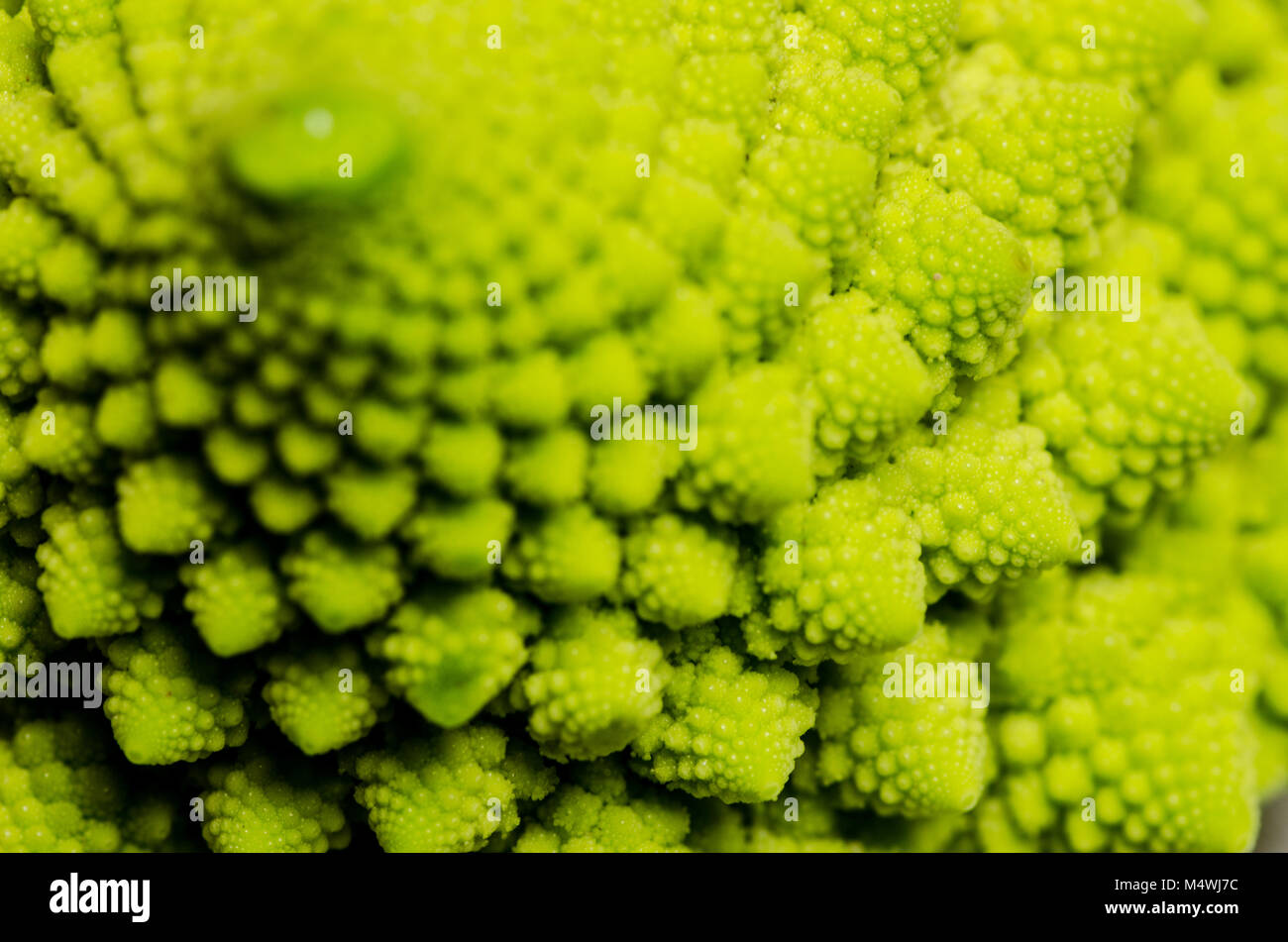Vista dettagliata del cavolfiore romanesco Foto Stock