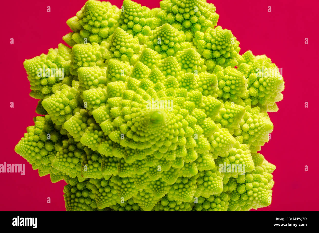 Vista dettagliata del cavolfiore romanesco Foto Stock