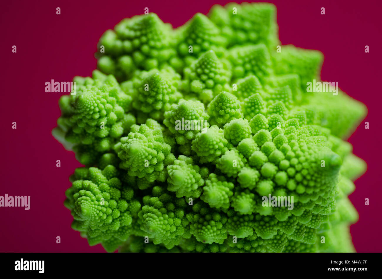 Vista dettagliata del cavolfiore romanesco Foto Stock