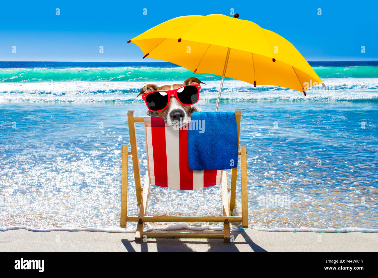 Jack Russell cane di distensione e di riposo su un amaca o spiaggia sedia sotto ombrellone in spiaggia ocean shore, le vacanze estive vacanze, Foto Stock