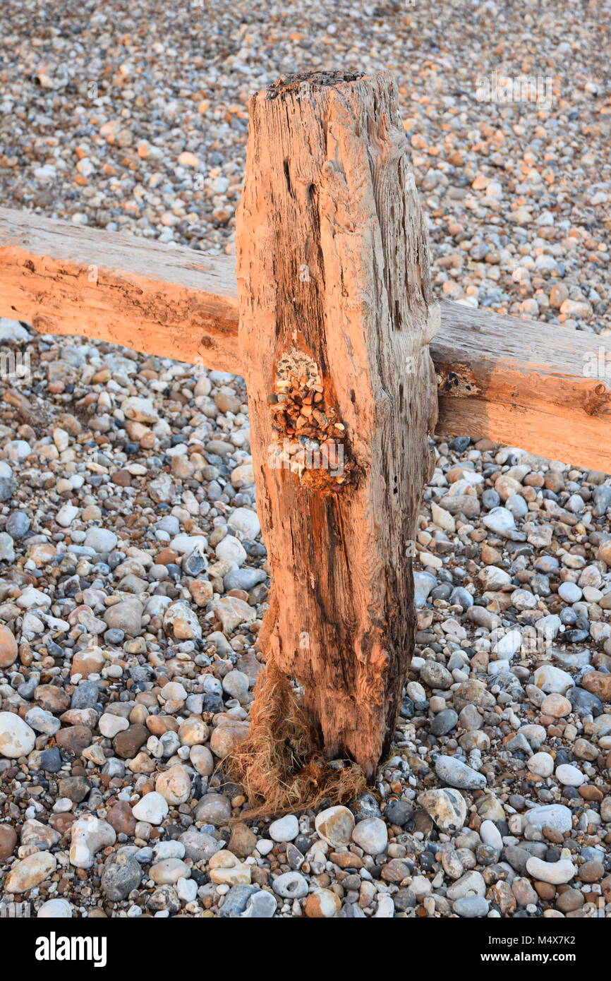 Struttura di frangionde eroso visibile a bassa marea bassa, PAGHAM Harbour, BOGNOR REGIS, febbraio 2018 Foto Stock