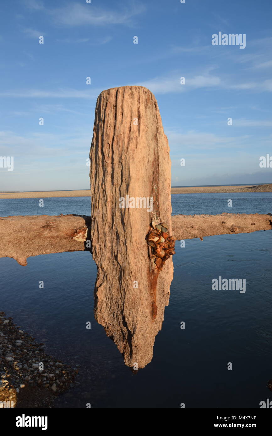 Struttura di frangionde eroso visibile a bassa marea bassa, PAGHAM Harbour, BOGNOR REGIS, febbraio 2018 Foto Stock