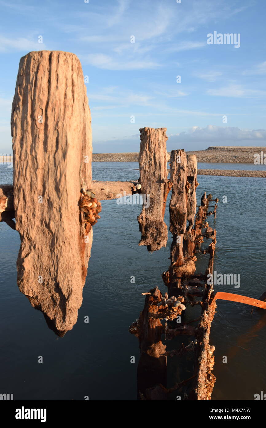 Struttura di frangionde eroso visibile a bassa marea bassa, PAGHAM Harbour, BOGNOR REGIS, febbraio 2018 Foto Stock