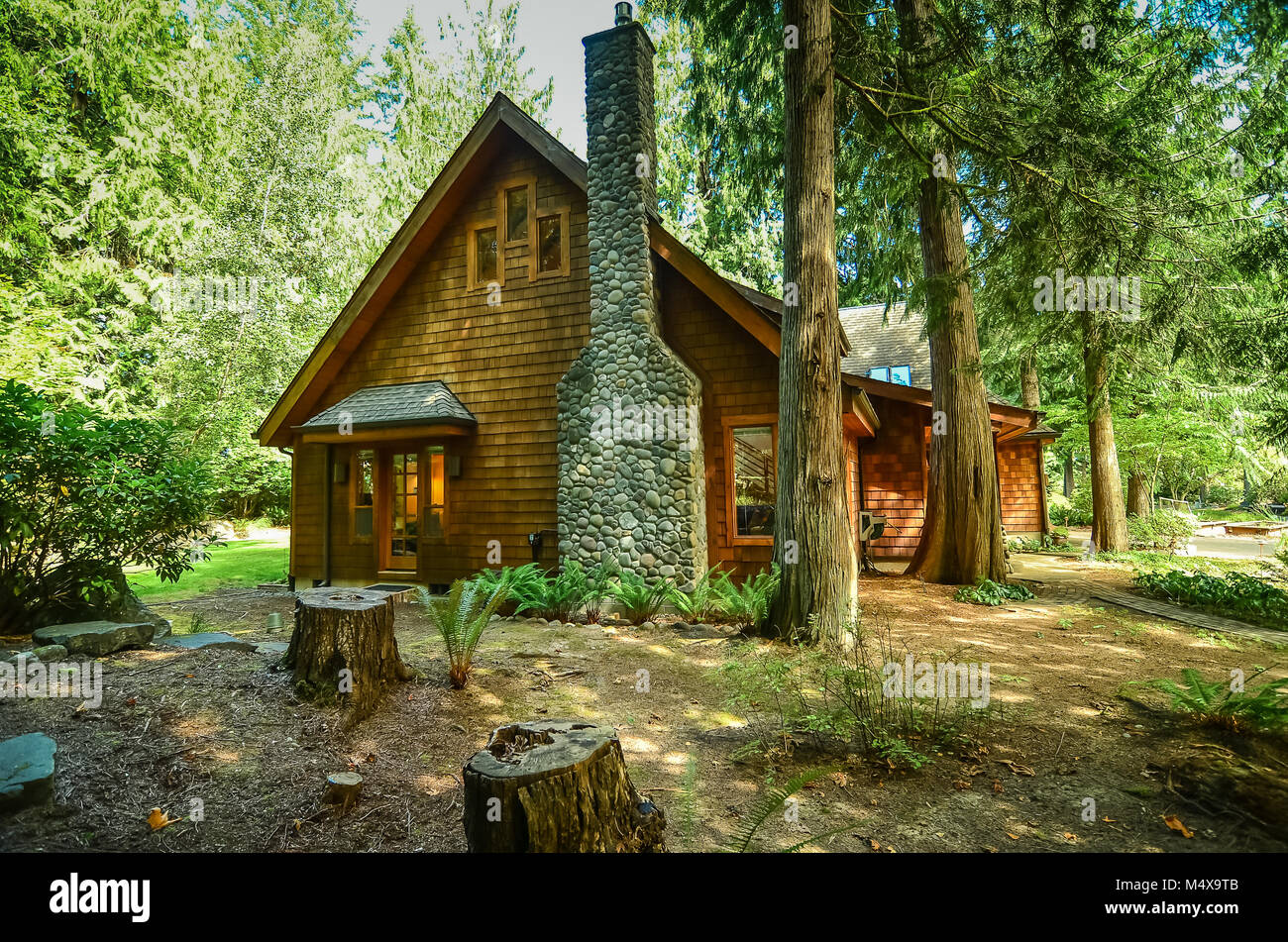 Rustico nordovest del Pacifico (USA) Chalet in impostazione di bosco Foto Stock