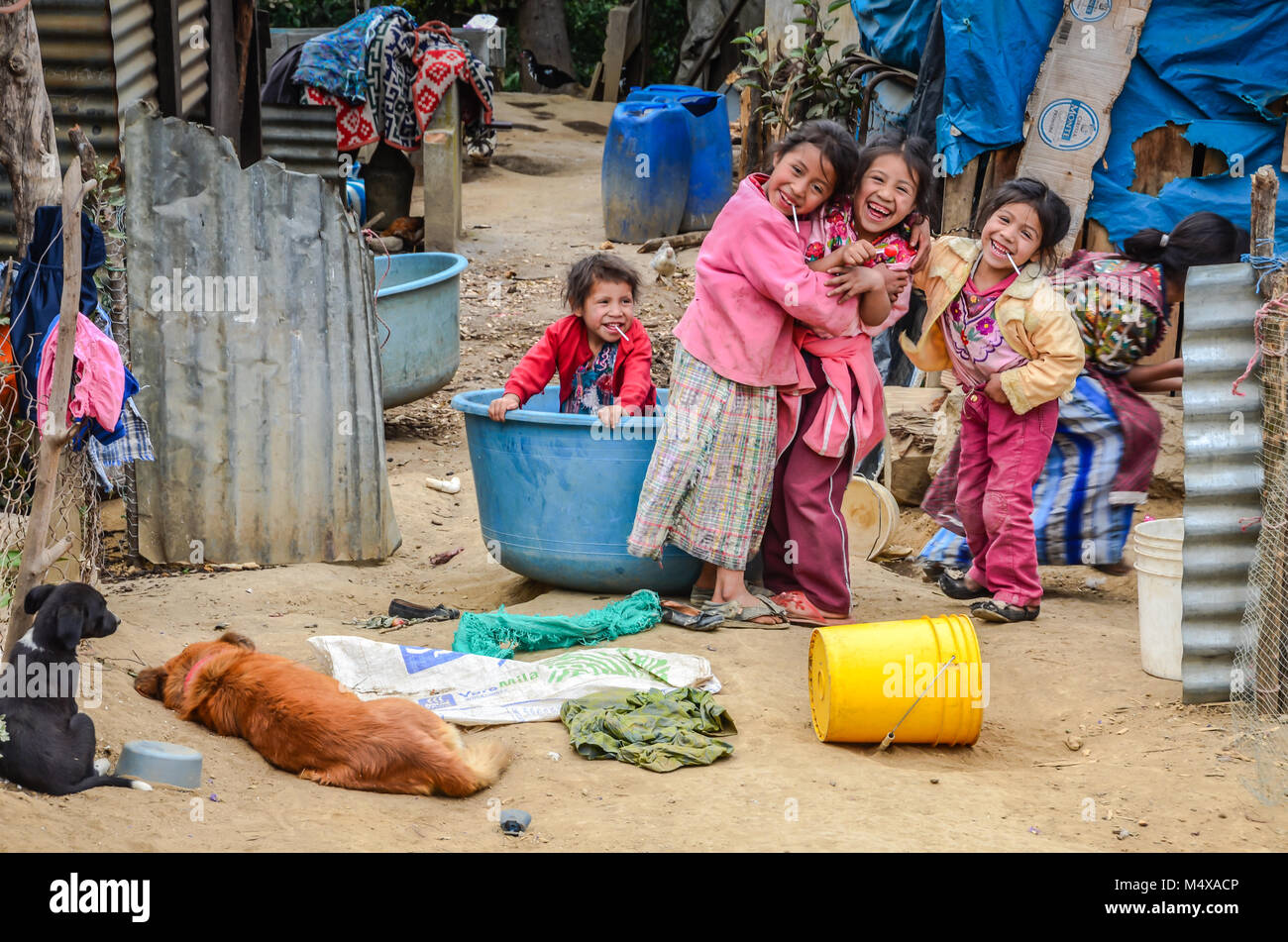 Quattro ridere i bambini, un sonno cane e un avviso cucciolo giocando nel cortile anteriore di un estremamente povera famiglia guatemalteca. Foto Stock