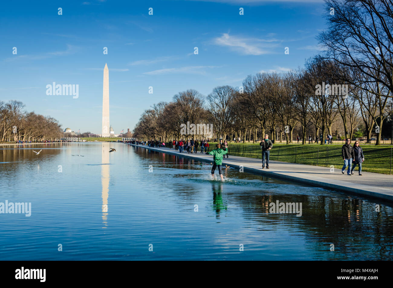 Ragazzo corre in piscina riflettenti nella parte anteriore del Monumento di Washington a Washington DC. Foto Stock