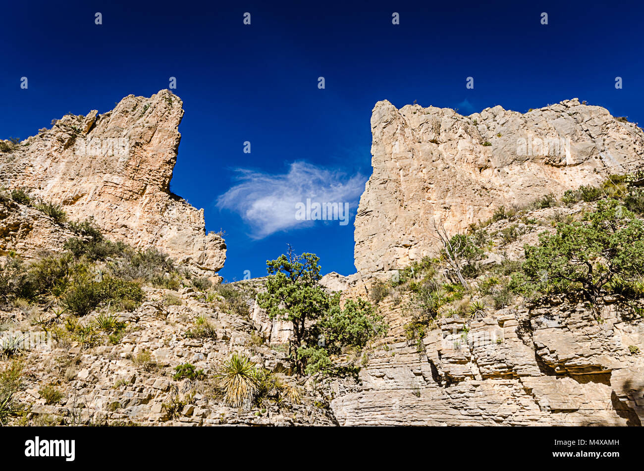 Toppa di chiave apertura a vivid blue sky in canyon a strapiombo sul Devil's Hall trail nel Parco Nazionale delle Montagne Guadalupe in Texas. Foto Stock