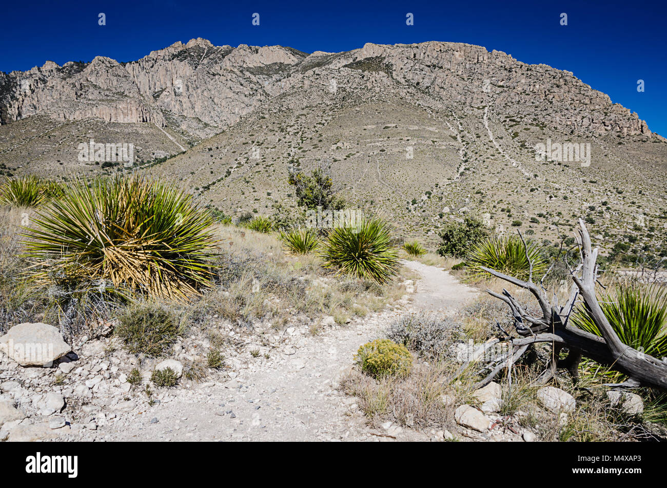 Robusto sentiero escursionistico di demoni Hall formazione rocciosa a Guadalupa Mountains National Park, all'interno del deserto del Chihuahuan in Texas. Foto Stock