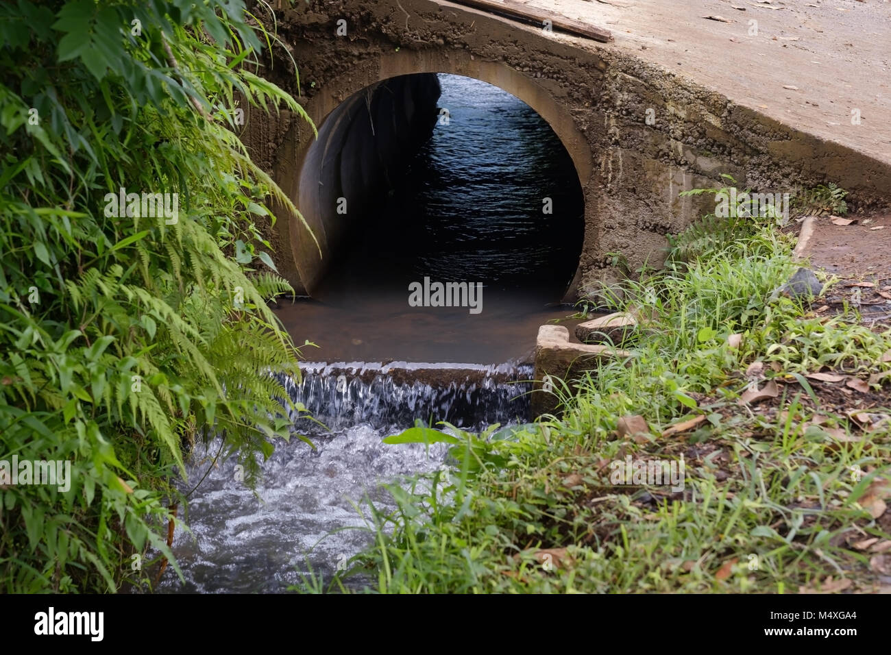 Tubo con acqua dopo la pioggia Foto Stock