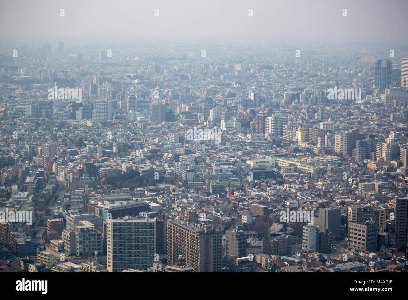 La vista dal quarantacinquesimo piano del Tokyo Palazzo del Governo mostra una vista del centro di Tokyo Foto Stock