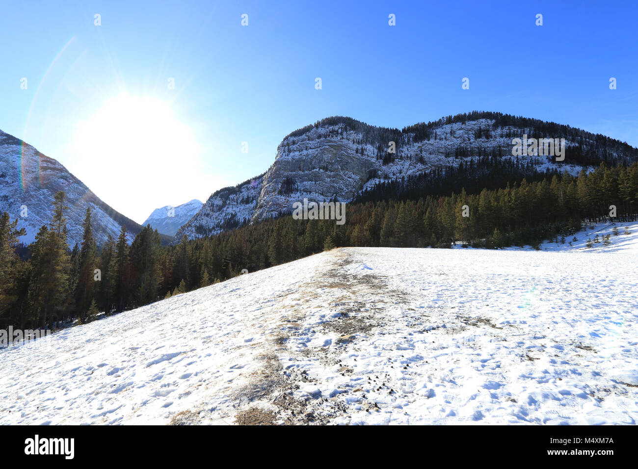 Paesaggio invernale in Canada, il Parco Nazionale di Banff Foto Stock