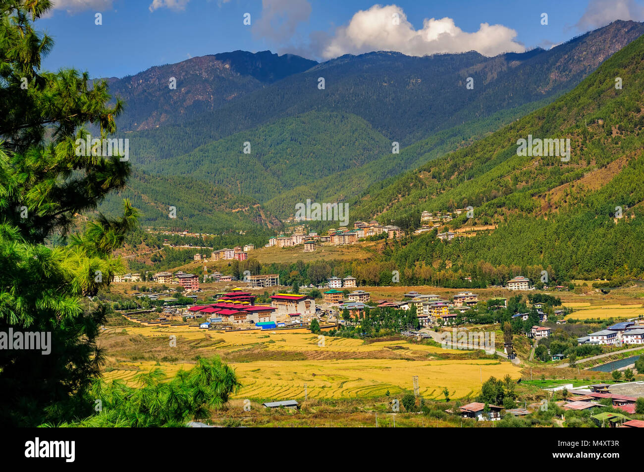 Vista di Thimphu, capitale del Bhutan, la corte suprema e la zona circostante con spazio di copia Foto Stock