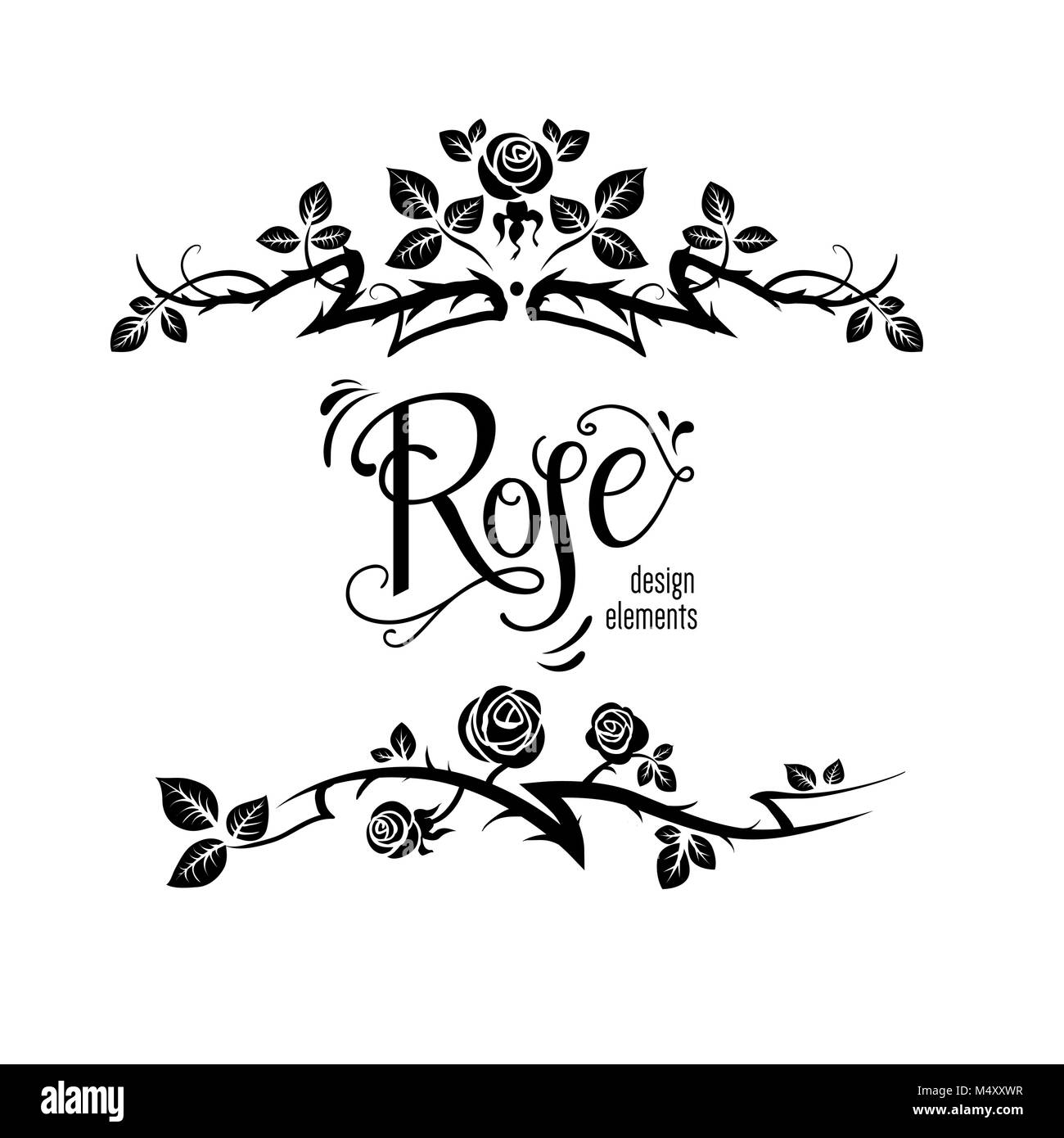 Elegante design rose Illustrazione Vettoriale