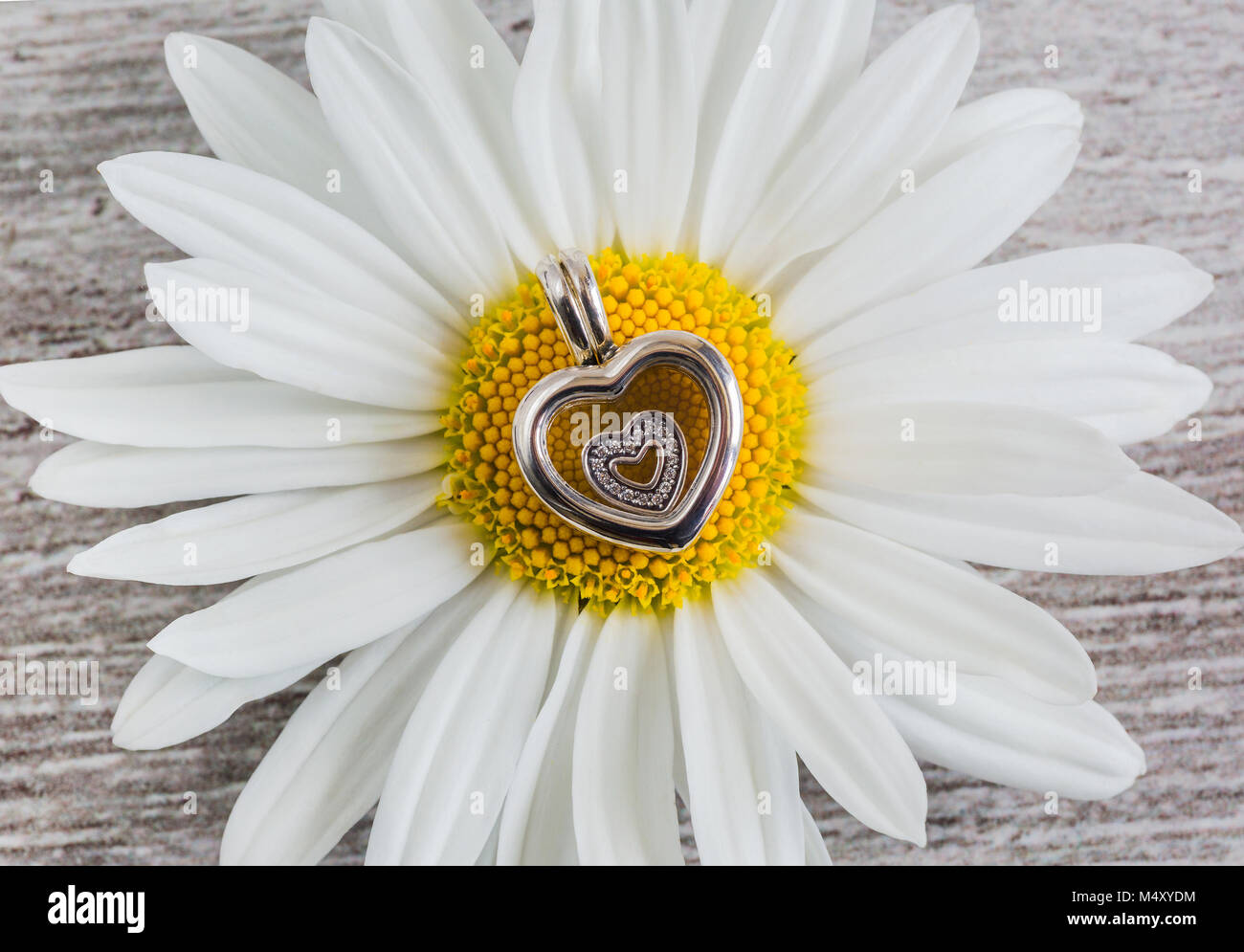 Ciondolo - cuore e fiori di camomilla Foto Stock