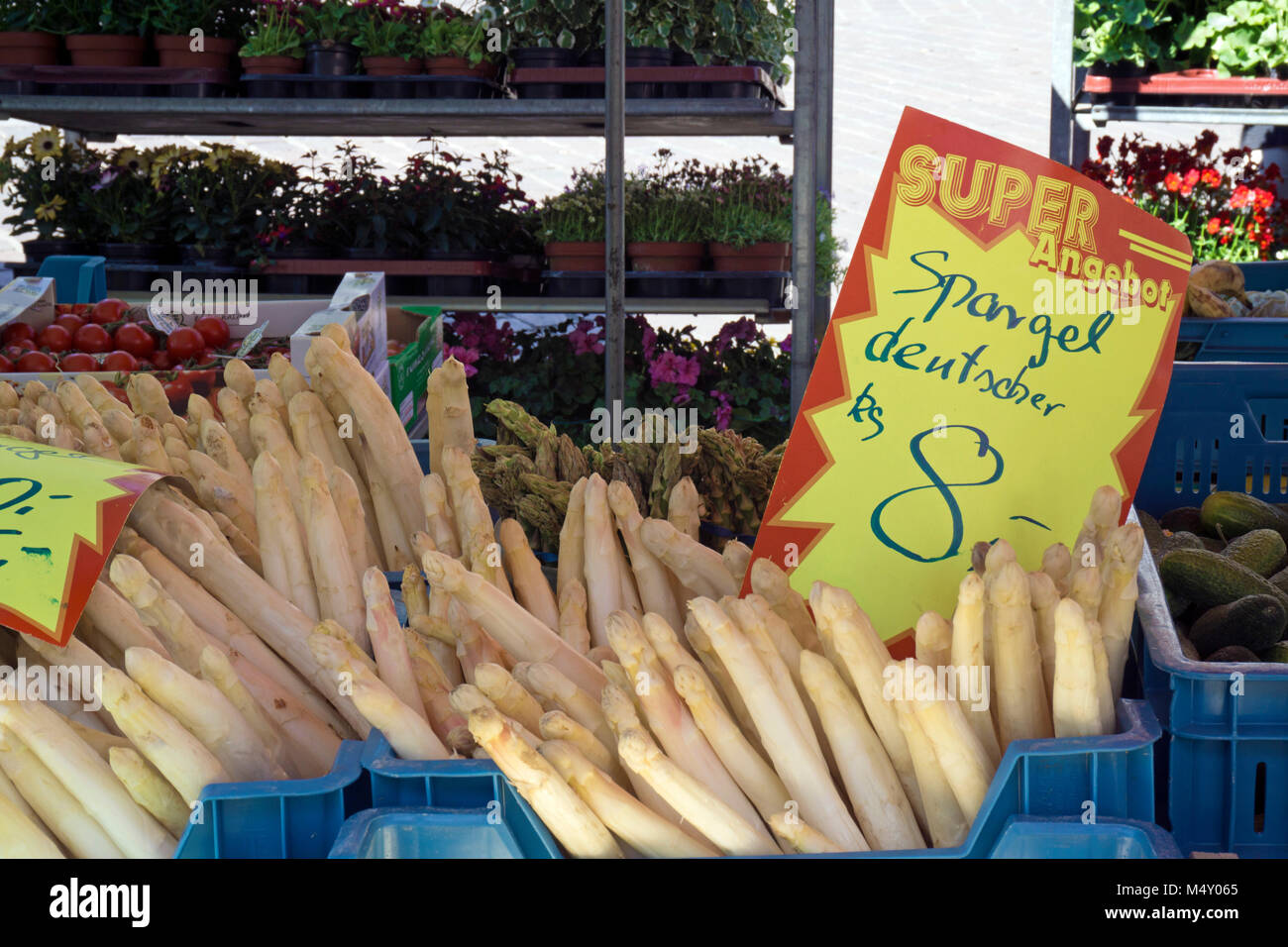 Asparago (Asparagus officinalis) presso il mercato di Pasqua, principale mercato, Trier, Renania-Palatinato, Germania, Europa Foto Stock
