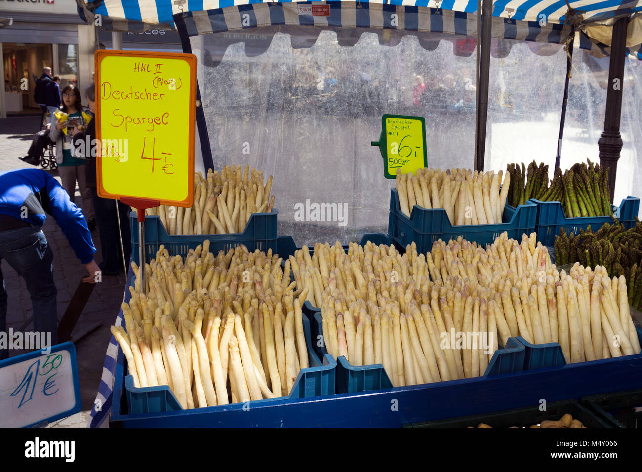 Asparago (Asparagus officinalis) presso il mercato di Pasqua, principale mercato, Trier, Renania-Palatinato, Germania, Europa Foto Stock