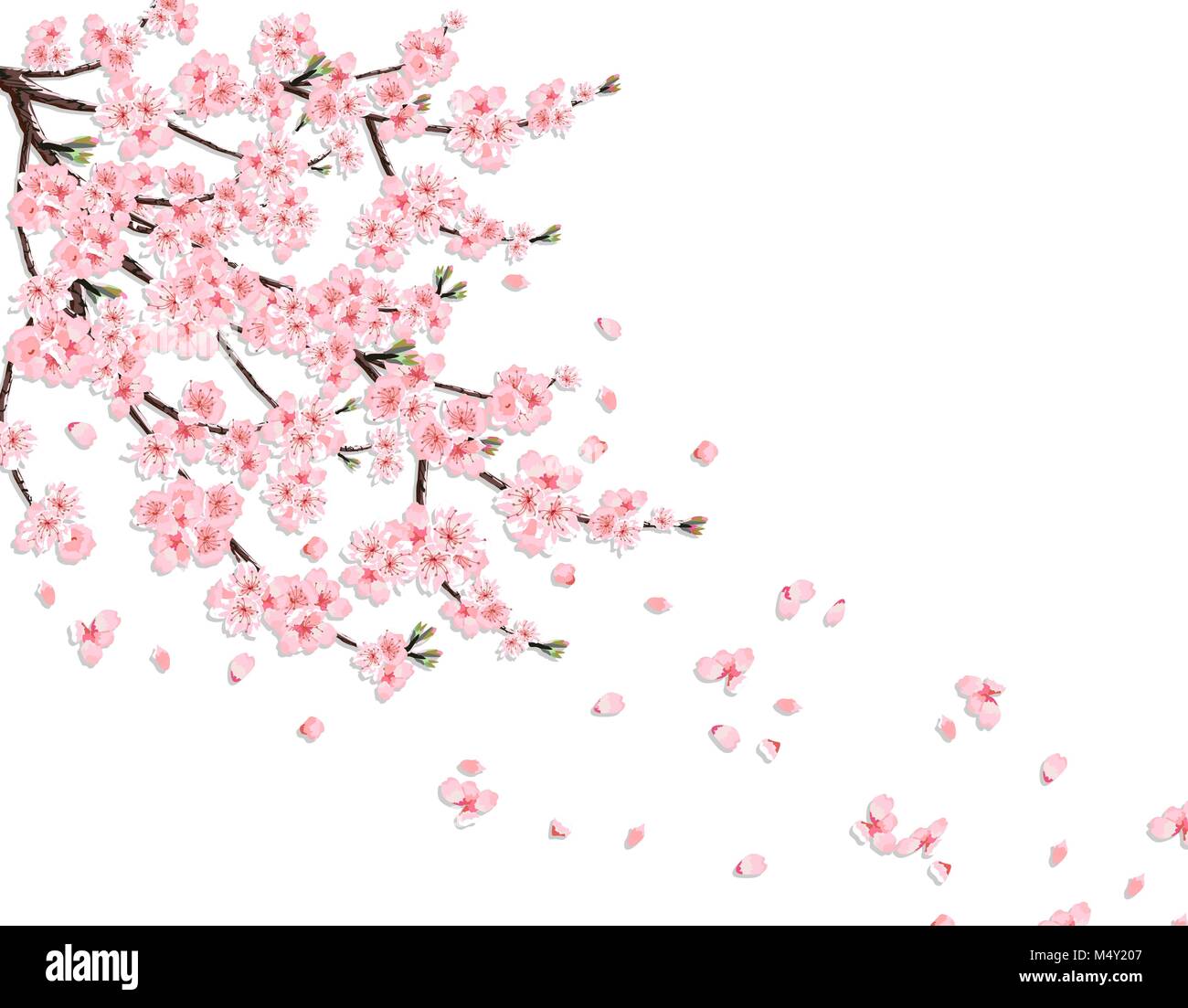 Ventaglio pieghevole Sakura fiore tascabile pieghevole ventilatore rotondo cerchio decorazione per feste regalo accessori decorativi fatti a mano (colore: rosso