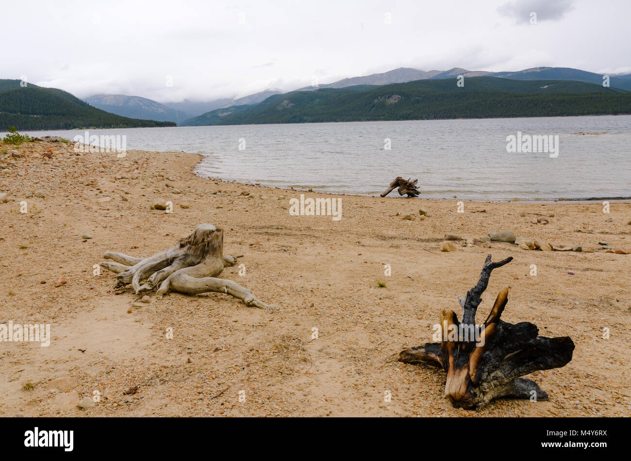 Tre grandi pezzi di driftwood, grandi come tronchi di alberi, sedersi sparse su una spiaggia sulle rive del lago turchese in San Isabel National Forest. Foto Stock