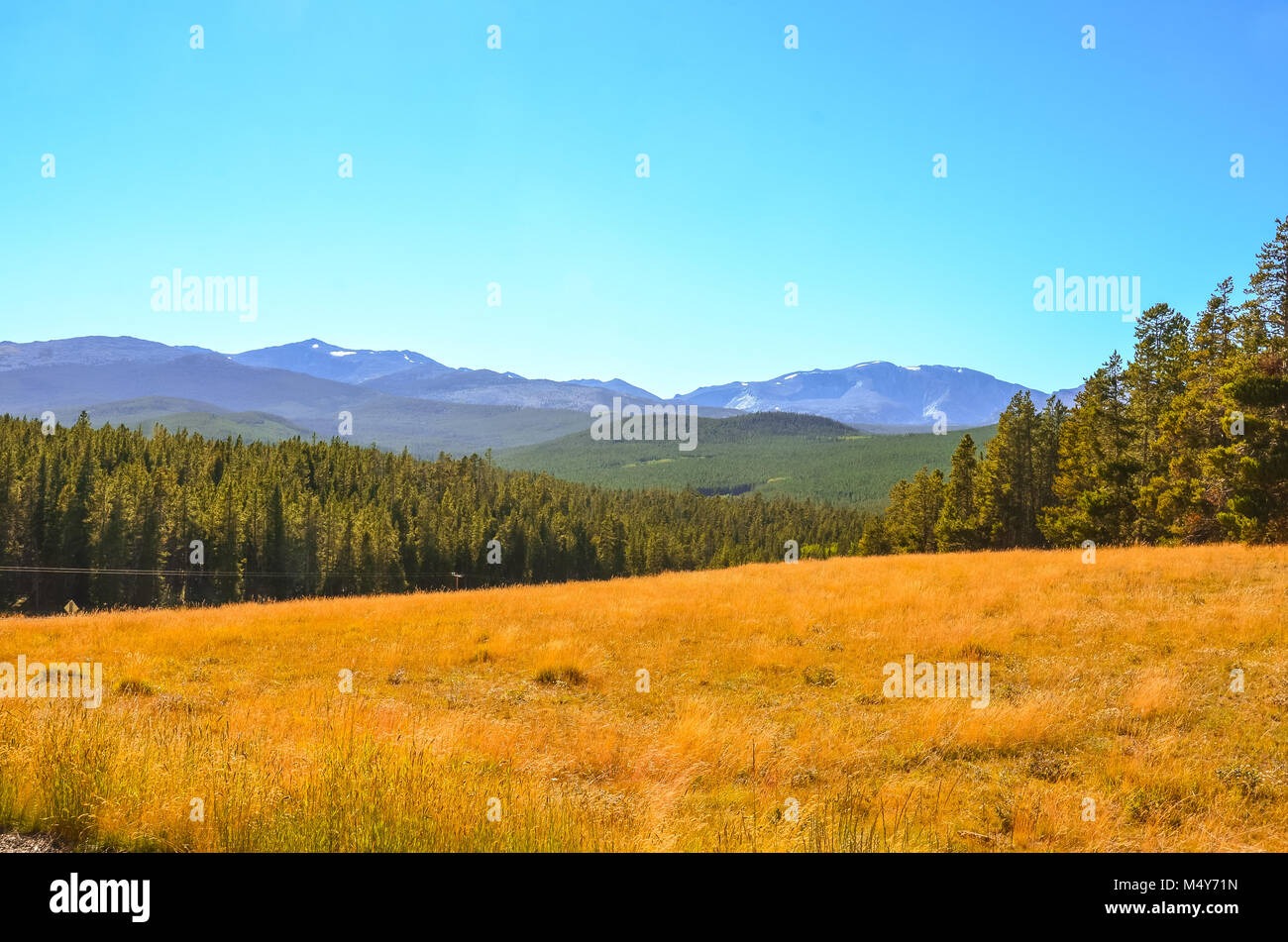 Vista delle colline e montagne da Loaf Mountain si affacciano nel Cloud Peak Wilderness Area del Wyoming. Foto Stock