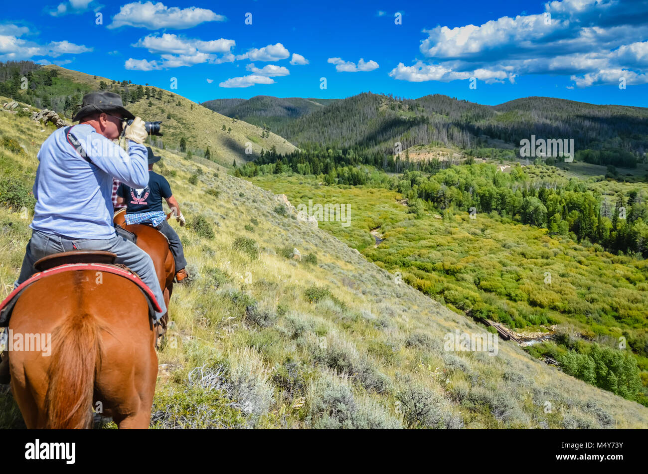 Un uomo si concentra una telecamera, mentre a cavallo di un cavallo su un sentiero di montagna in Medicine Bow National Forest. Foto Stock