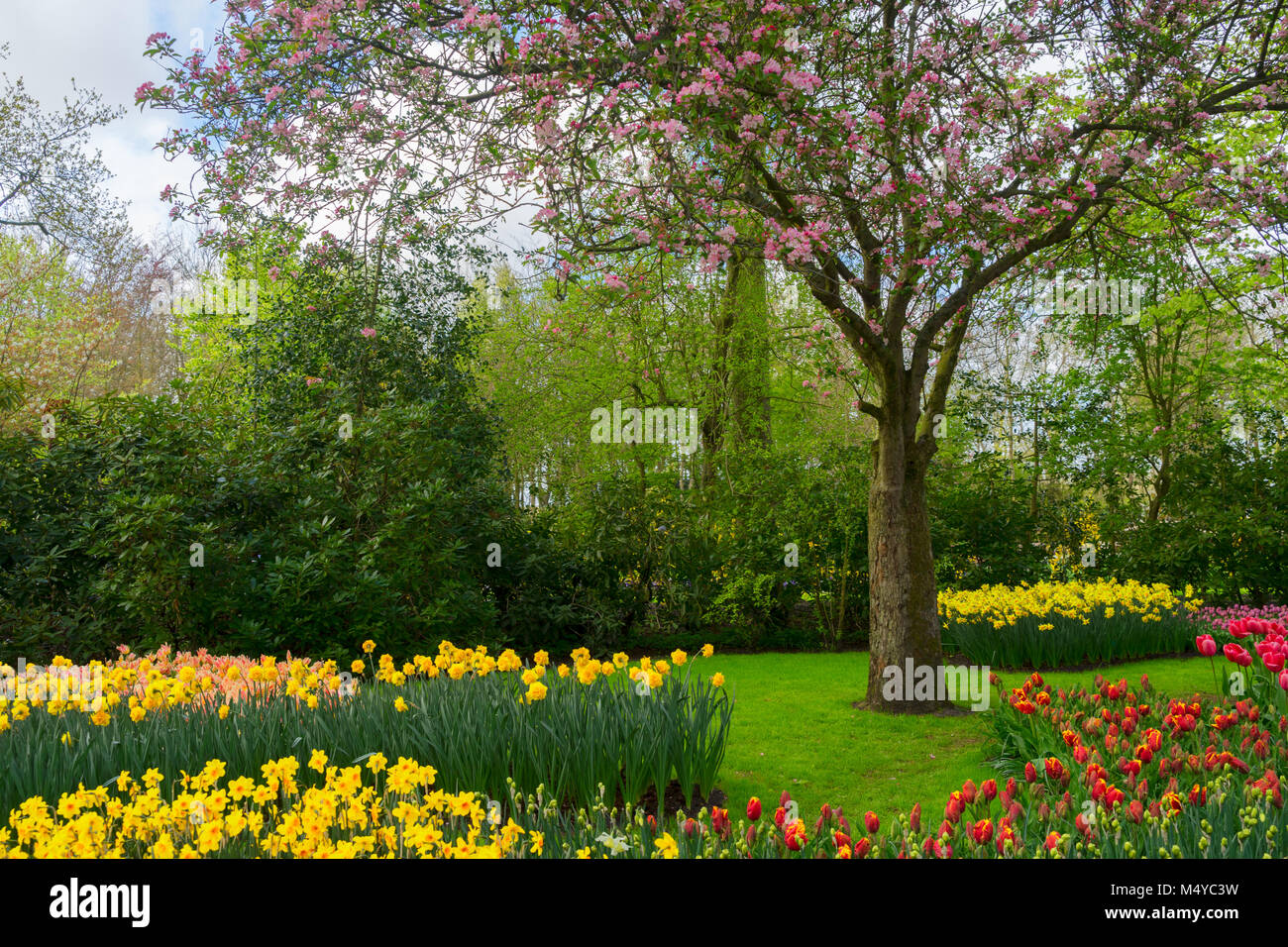 Primavera nel giardino Foto Stock