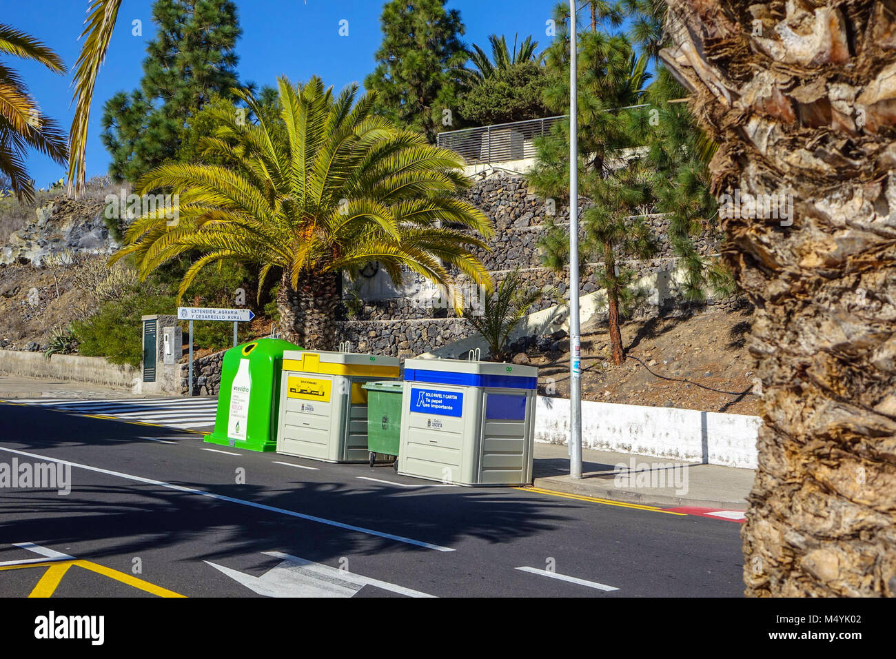 Riciclaggio rifiuti scomparti, palme, Guia de Isora, Tenerife, Spagna Foto Stock