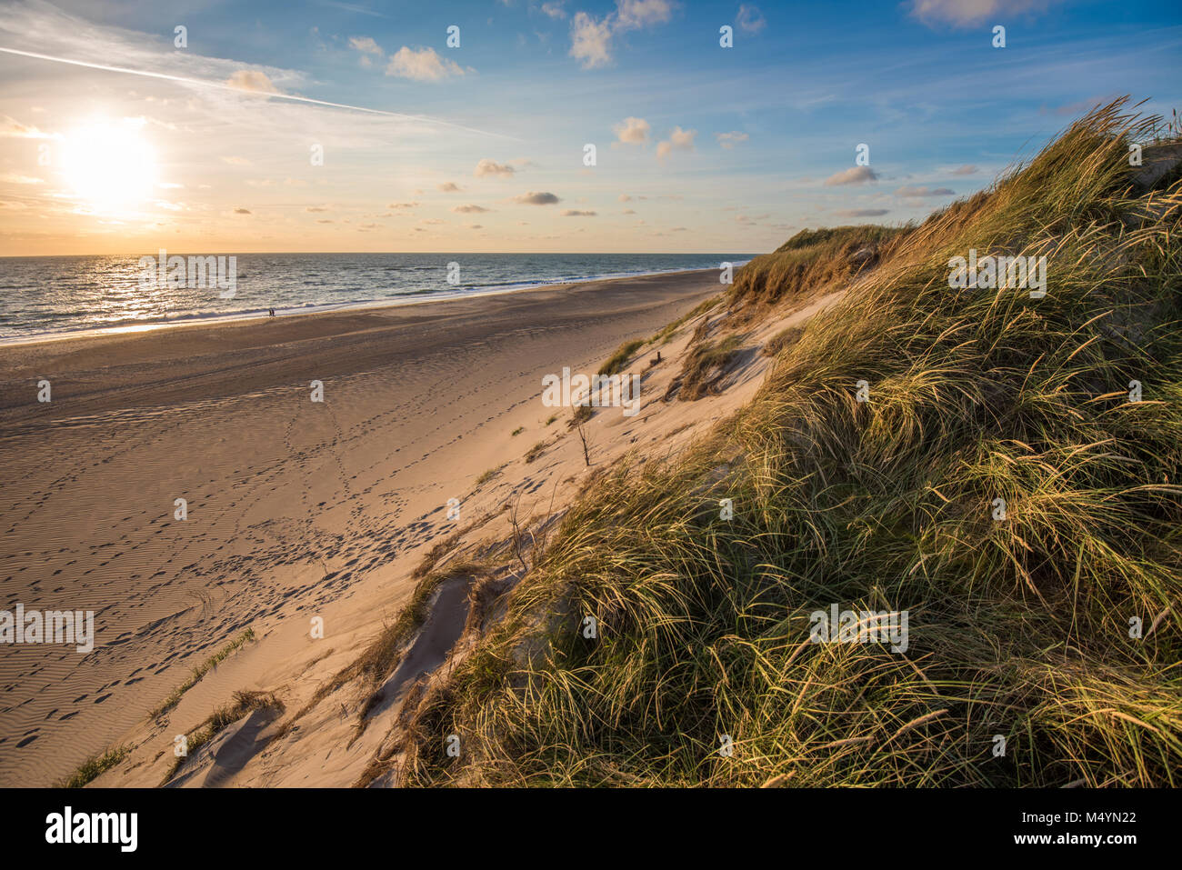 Spiaggia del mare del Nord, costa dello Jutland in Danimarca Foto Stock